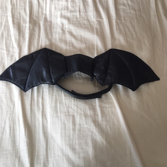 Bat Dog Costume