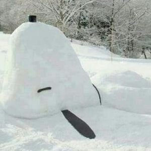 Meet your Posher, Rose