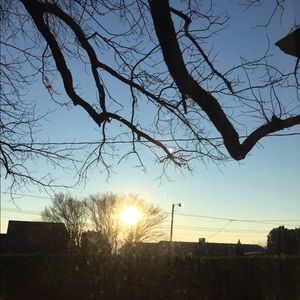 Meet your Posher, Sydney