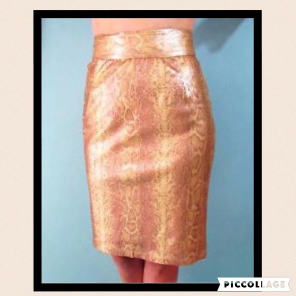 Sequin Pencil Skirt