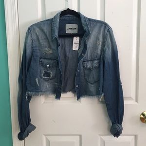LF Carmar Distressed Cropped Jean Jacket