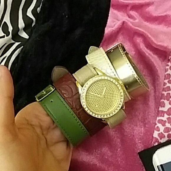 Interchangeable band watch