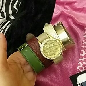 Interchangeable band watch