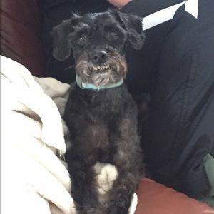 Meet your Posher, Hope