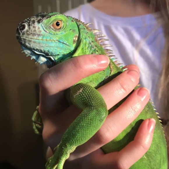 Meet your Posher, Brynna - Picture 2 of 4