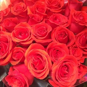 Meet your Posher, Jayden