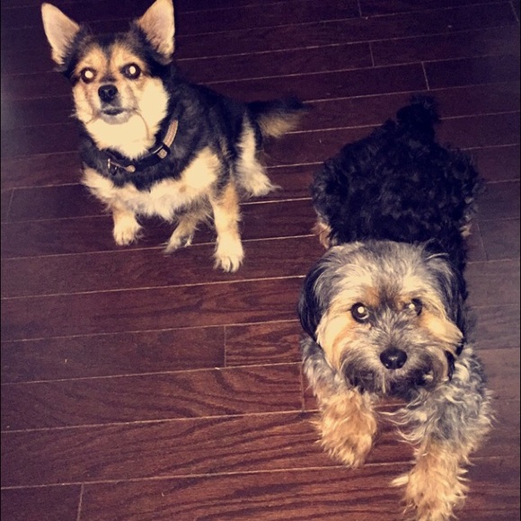 Hi!!! - Picture 2 of 4