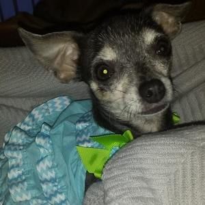 Meet your Posher, Adrianne