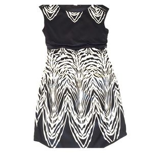 B&W Limited dress-worn once!