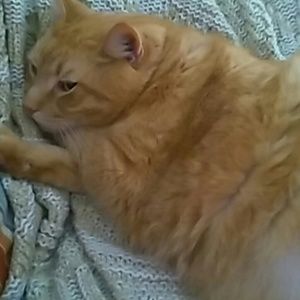 Meet your Posher, Wendy