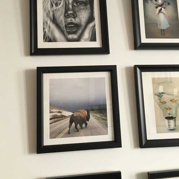 Buffalo Framed Print - Picture 3 of 3