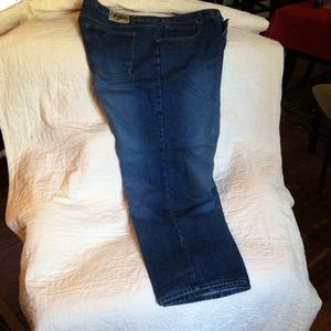 Fancy Laundry brand Plus size 24 Jeans