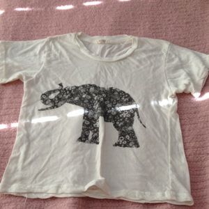 Brandy Melville elephant crop top