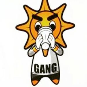 Meet your Posher, Rashad