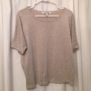 Forever 21 crop top, shimmery pewter
