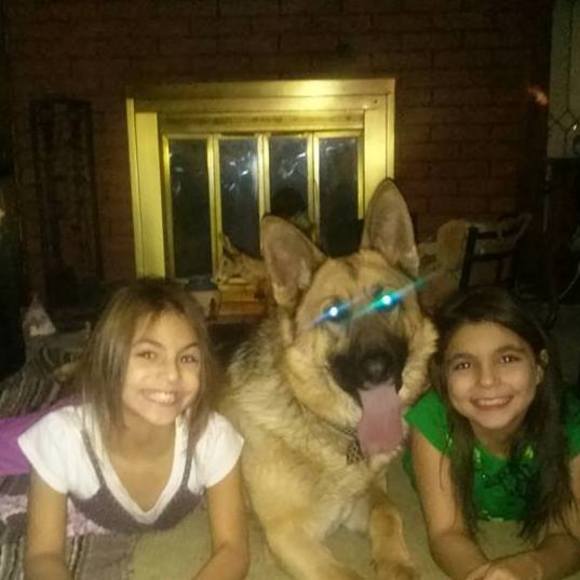 Meet your Posher, Pamela - Picture 1 of 1