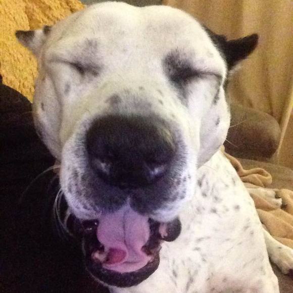 Meet your Posher, Sarrah - Picture 1 of 1