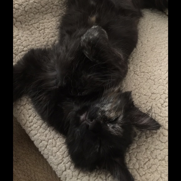 Meet your Posher, Izumi - Picture 1 of 1