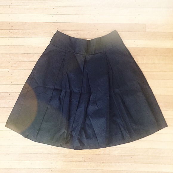 Express Pleated Circle Skirt