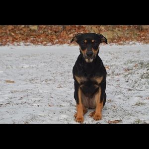 Meet your Posher, Alyson