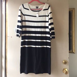 Ann Taylor sweater dress NWT