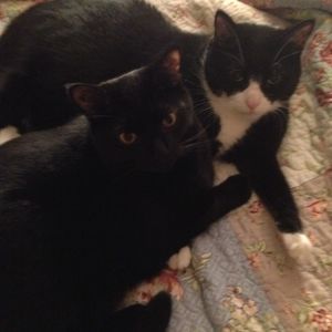 Meet your Posher, Jodi