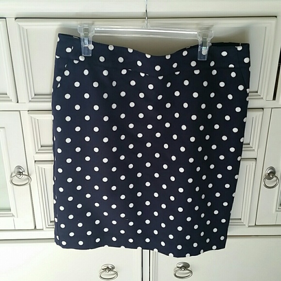 NWOT Blue and white polka dot  lined skirt