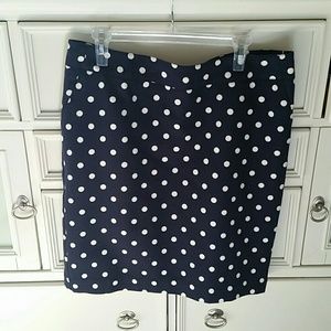 NWOT Blue and white polka dot  lined skirt