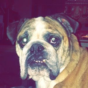 Meet your Posher, Sky