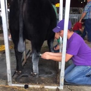 Meet your Posher, Jake