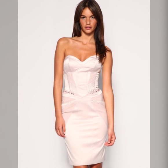 NWOT Karen Millen Dress