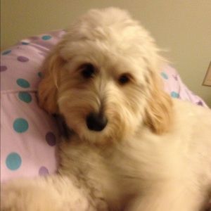 Meet your Posher, Katy