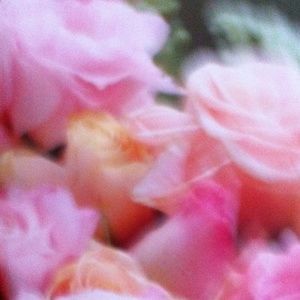 Meet your Posher, Fe