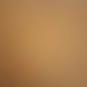 Meet your Posher, Lola