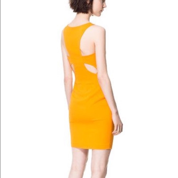 Zara Back Cut-Out Detail Dress