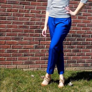 Express Editor Royal Blue Cropped Pants