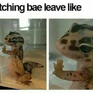 Meet your Posher, Amaya