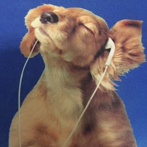 Meet your Posher, Margaret