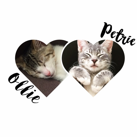 welcome, welcome! - Picture 2 of 4