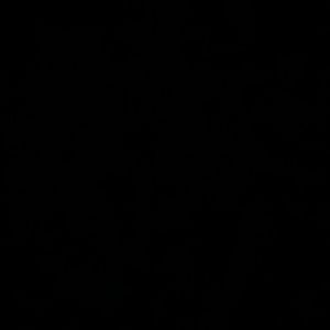 Meet your Posher, Charlsey