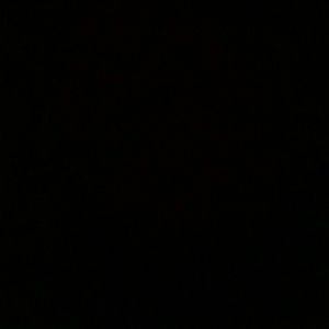 Meet your Posher, Alissandra