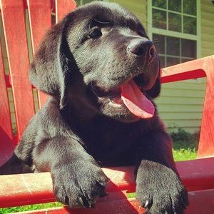 Meet your Posher, Colette