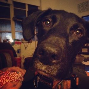 Meet your Posher, Jen