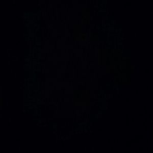 Meet your Posher, Maggie