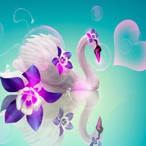 Meet your Posher, Dianna