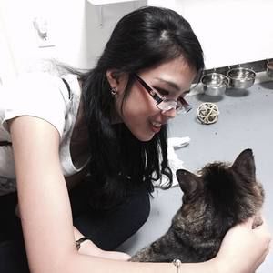 Meet your Posher, Dong