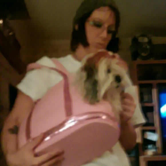 Lulupink stylish dog carrier.  I held my 17# dog.