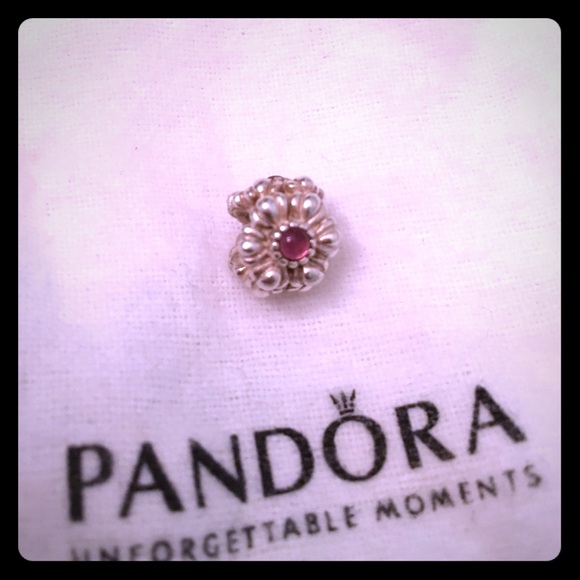 Authentic Pandora camera and birthstone charm