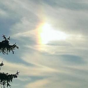 Meet your Posher, Sonya