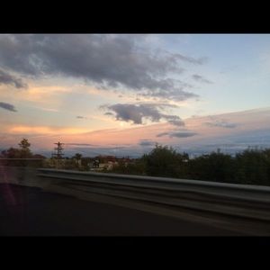 Meet your Posher, Bella